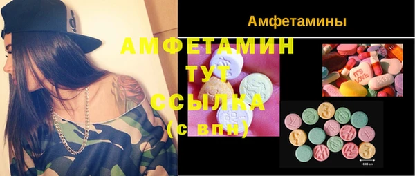 индика Белокуриха