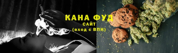 индика Белокуриха