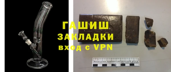 индика Белокуриха