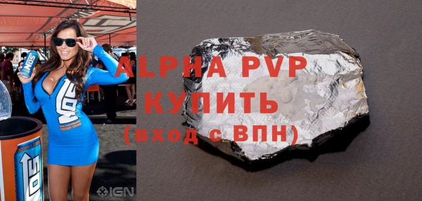 индика Белокуриха