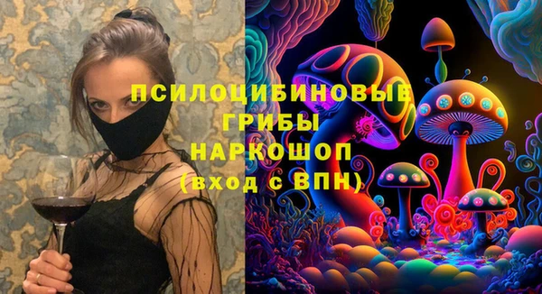 индика Белокуриха