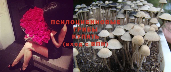 индика Белокуриха