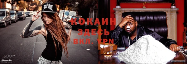 индика Белокуриха