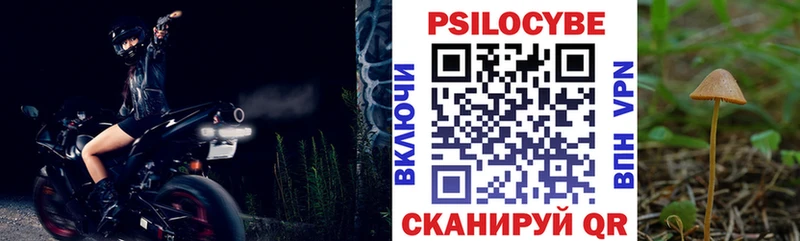 Галлюциногенные грибы прущие грибы  Велиж 